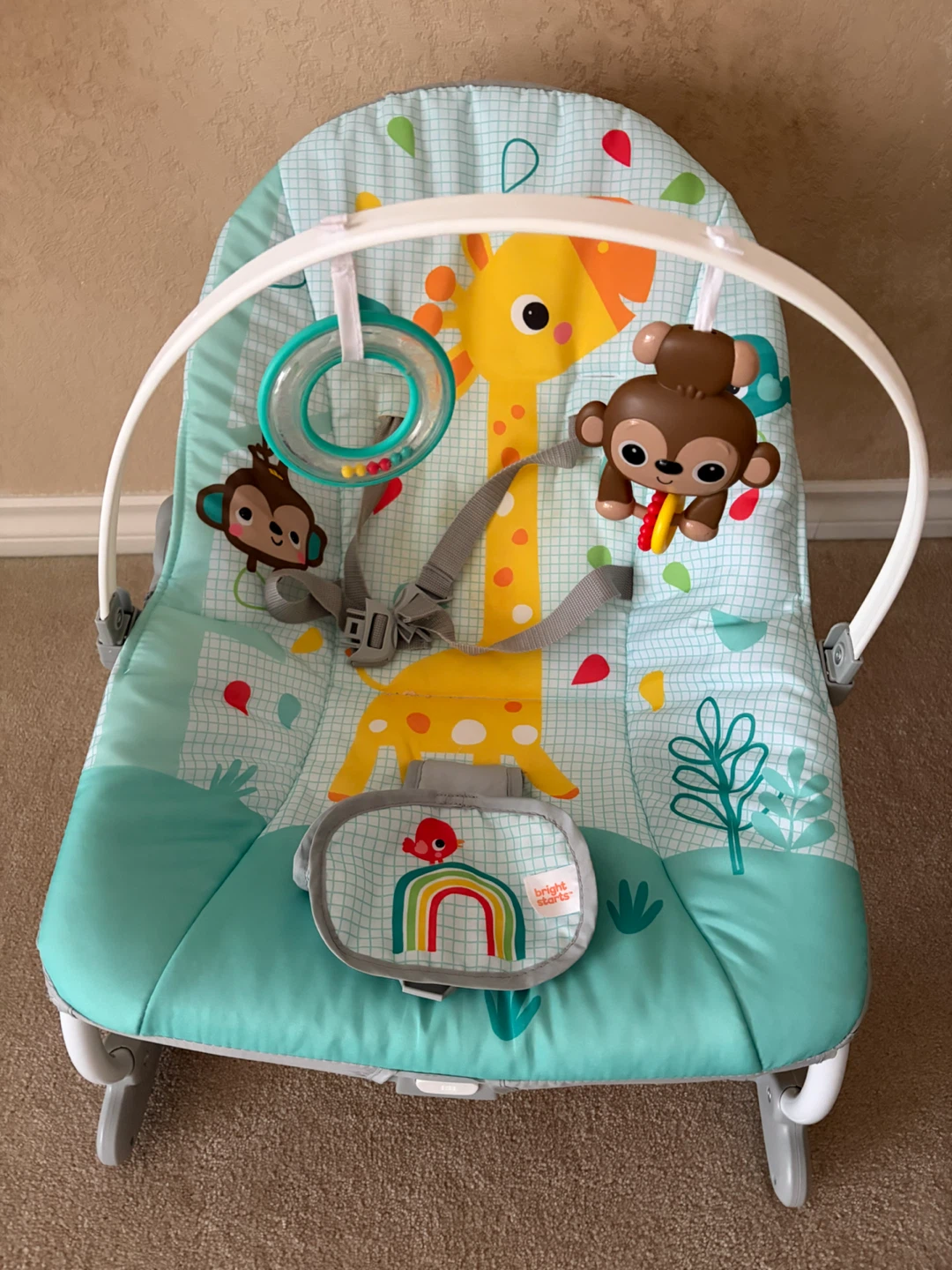 Bright Starts Baby Bouncer
