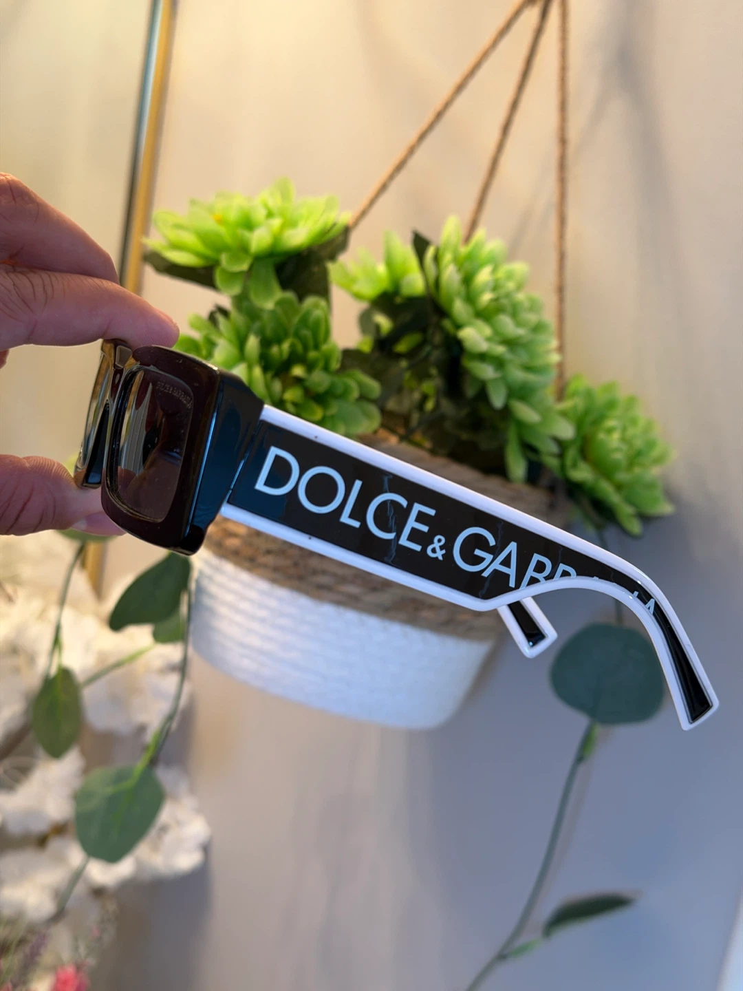 Dolce & Gabbana Sunglasses