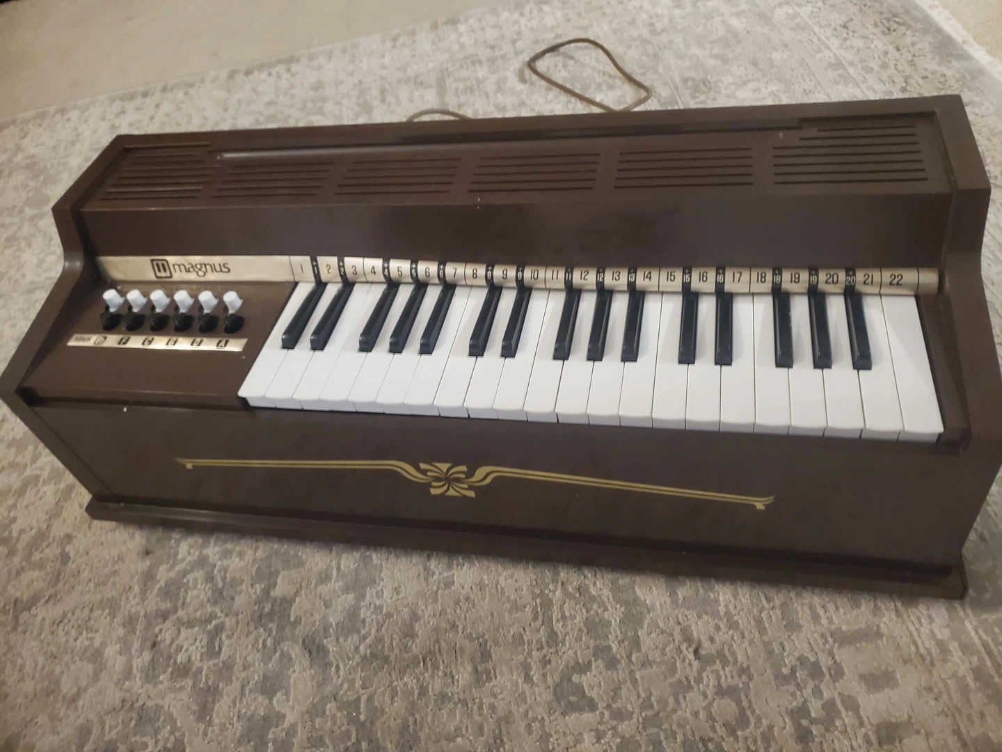 Vintage Magnus Electric Chord Organ Model M-60 - photo 2