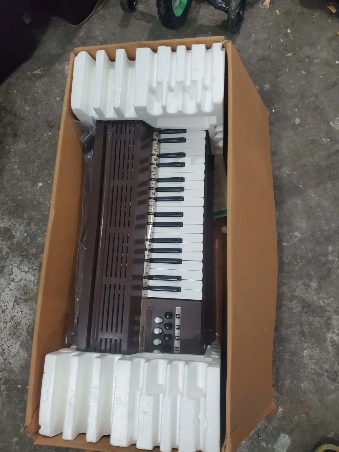 Vintage Magnus Electric Chord Organ Model M-60 - photo 3