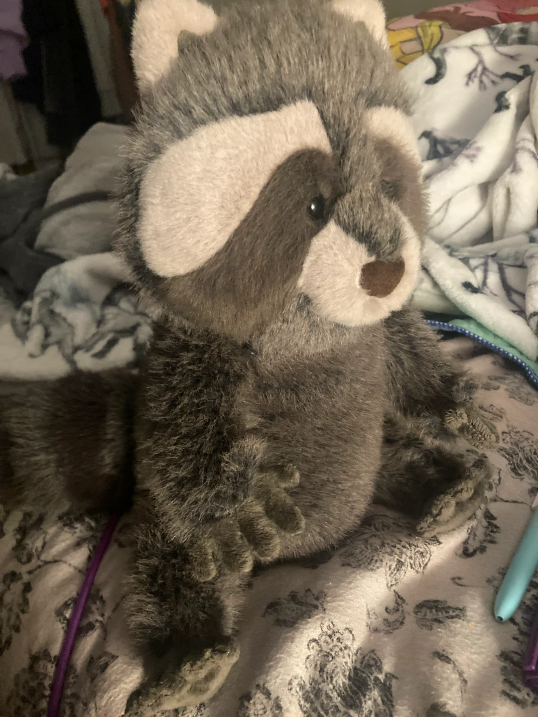 Jellycat Raccoon Plush Toy