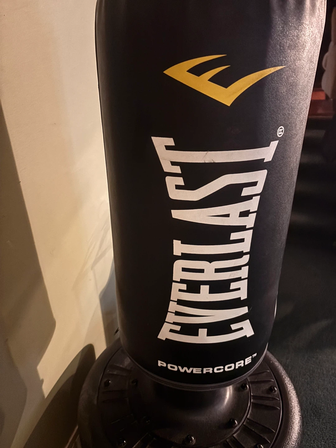 Everlast Powercore Freestanding Punching Bag - photo 4