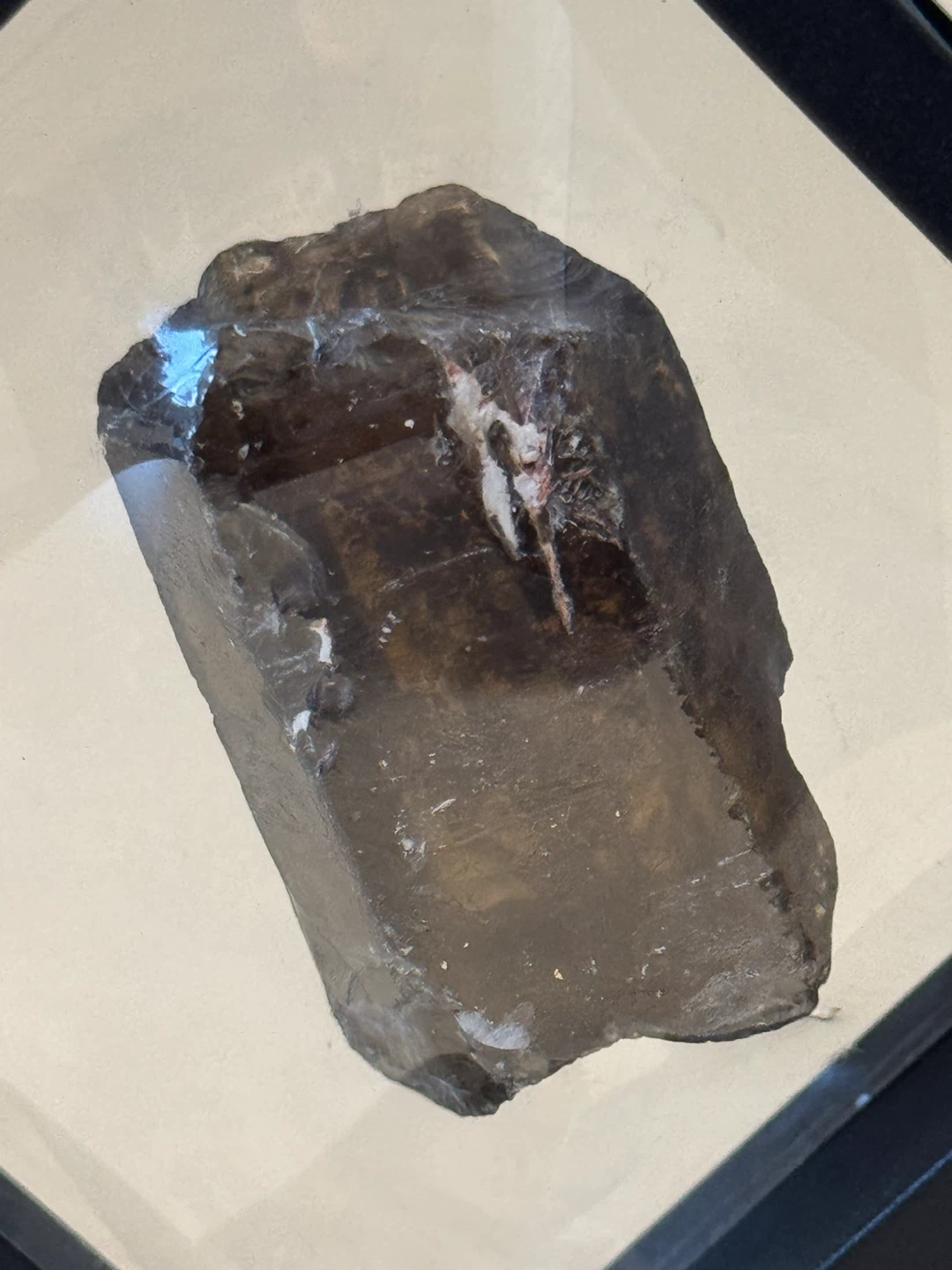 Natural Citrine Rough Specimen in Display Case - photo 4