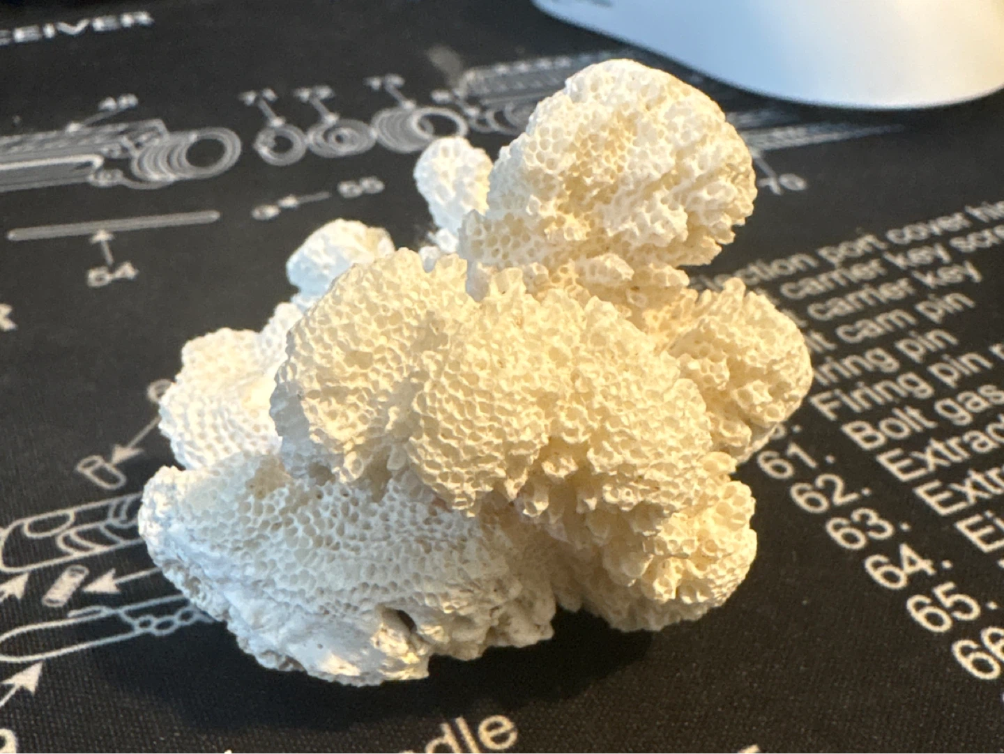 Natural Decorative White Coral Specimen - photo 2