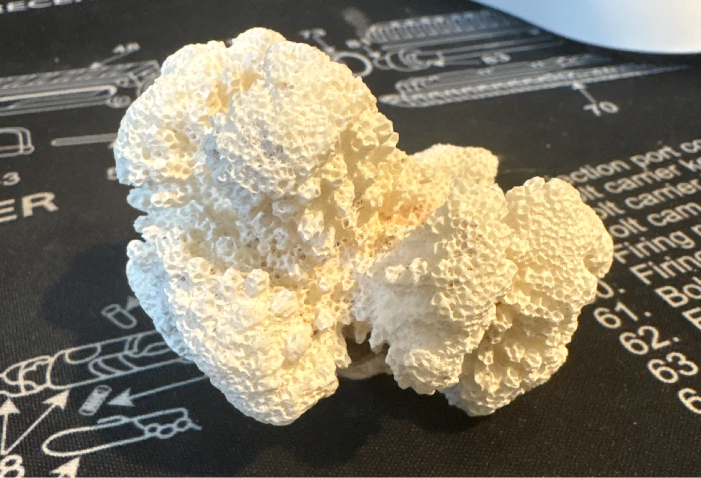 Natural Decorative White Coral Specimen - photo 3