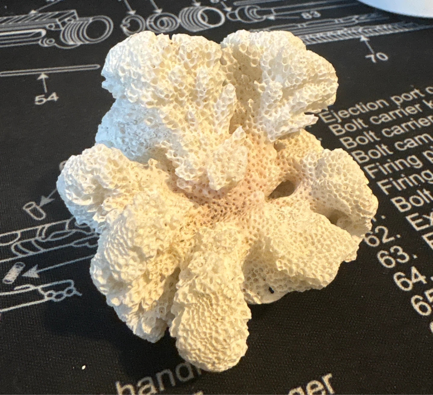 Natural Decorative White Coral Specimen - photo 4