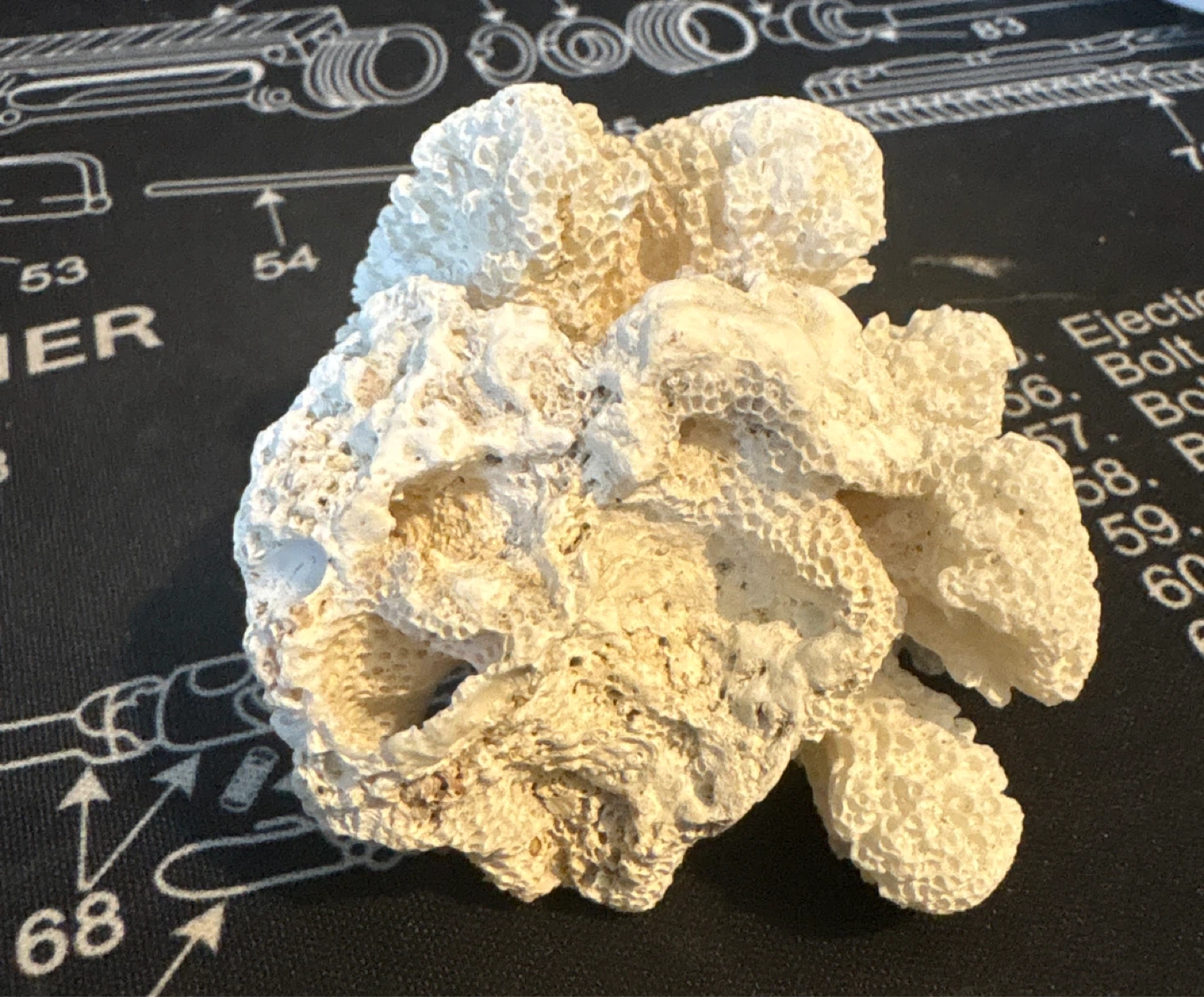 Natural Decorative White Coral Specimen - photo 5