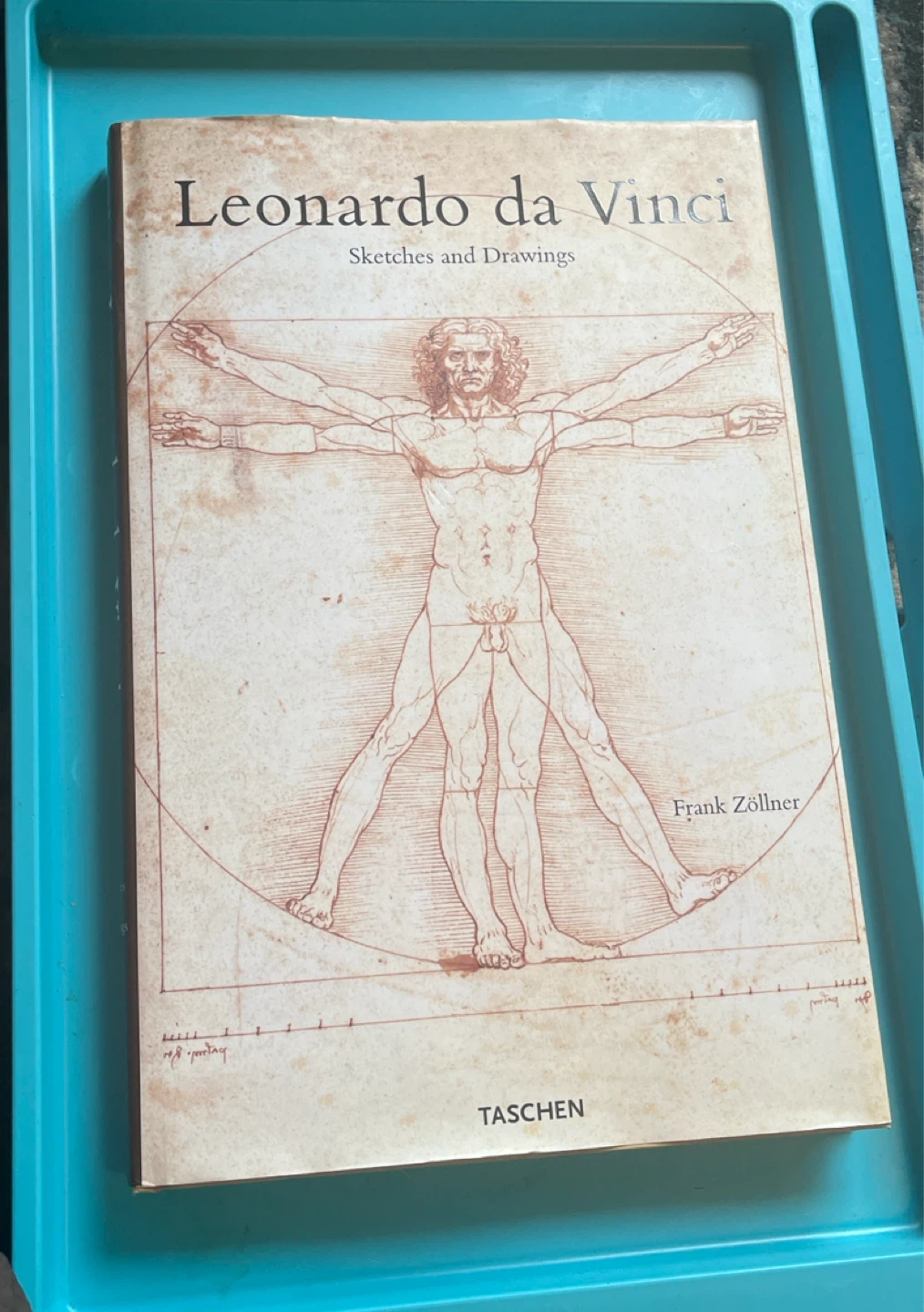 Leonardo da Vinci Sketches and Drawings Book