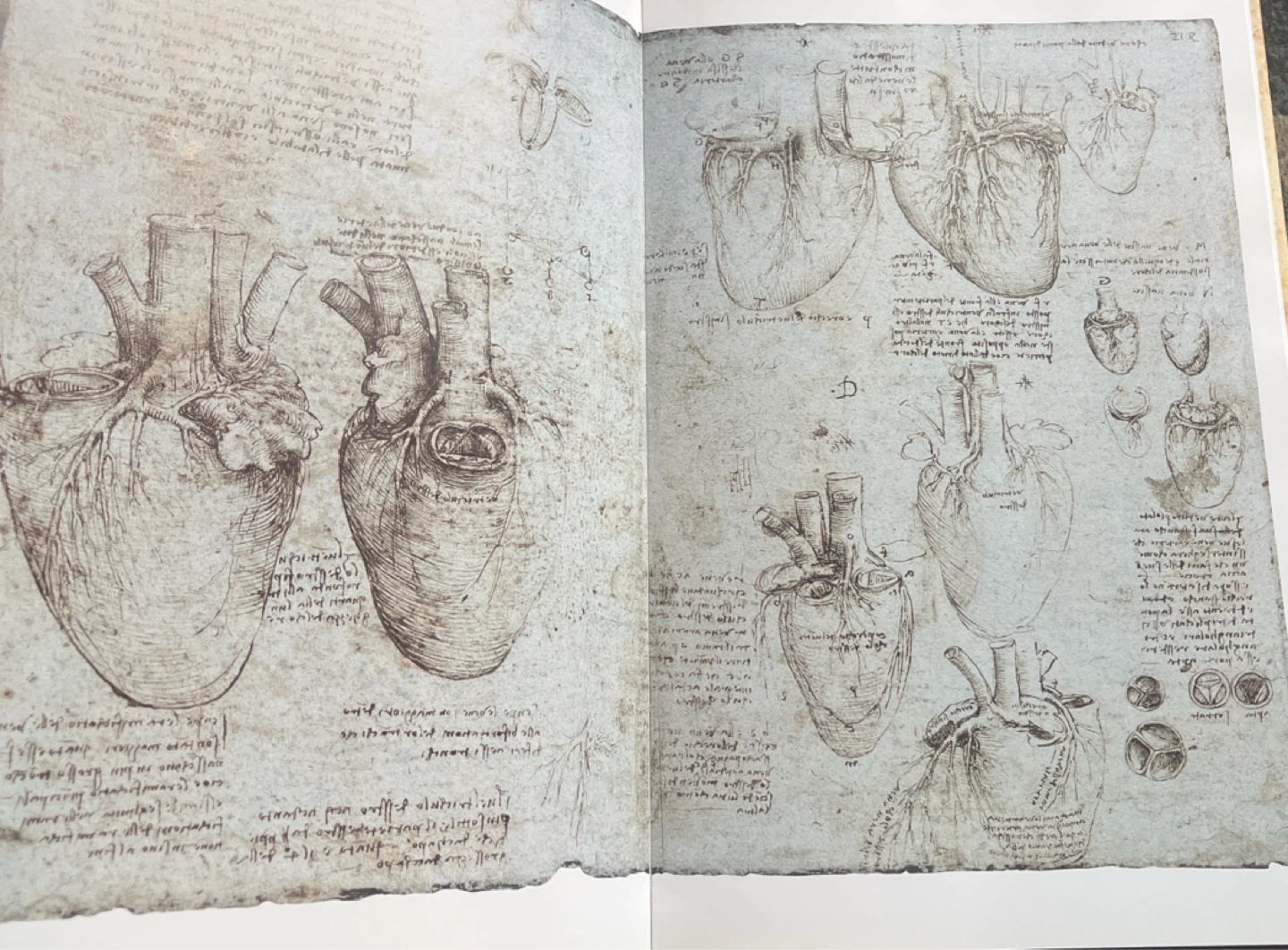 Leonardo da Vinci Sketches and Drawings Book - photo 4