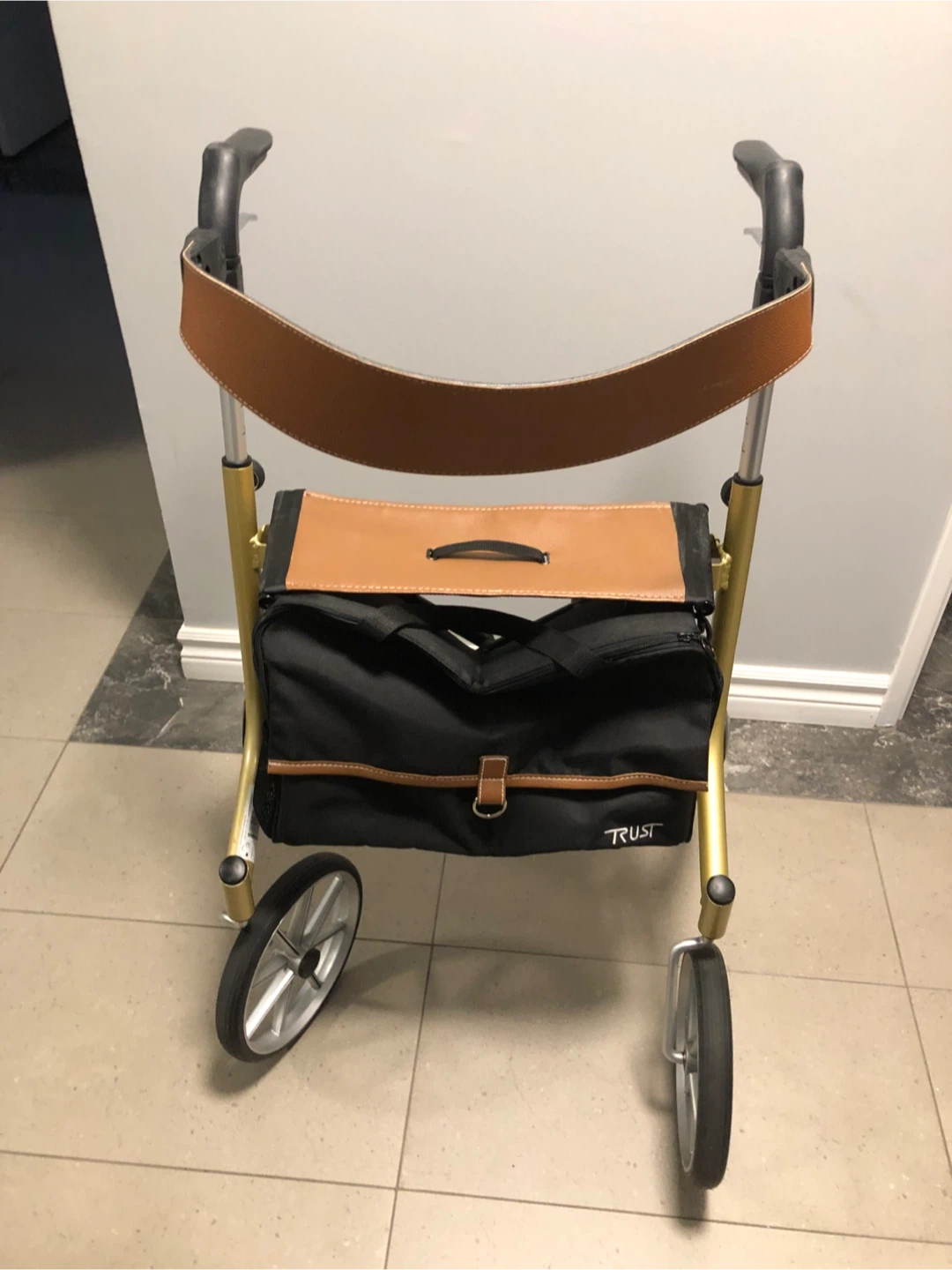 Trust Let's Go Out Rollator Walker