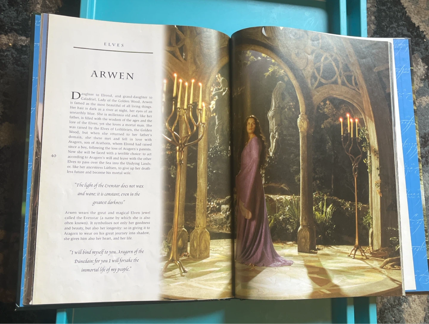 Lord of the Rings: The Fellowship of the Ring Companion - photo 4