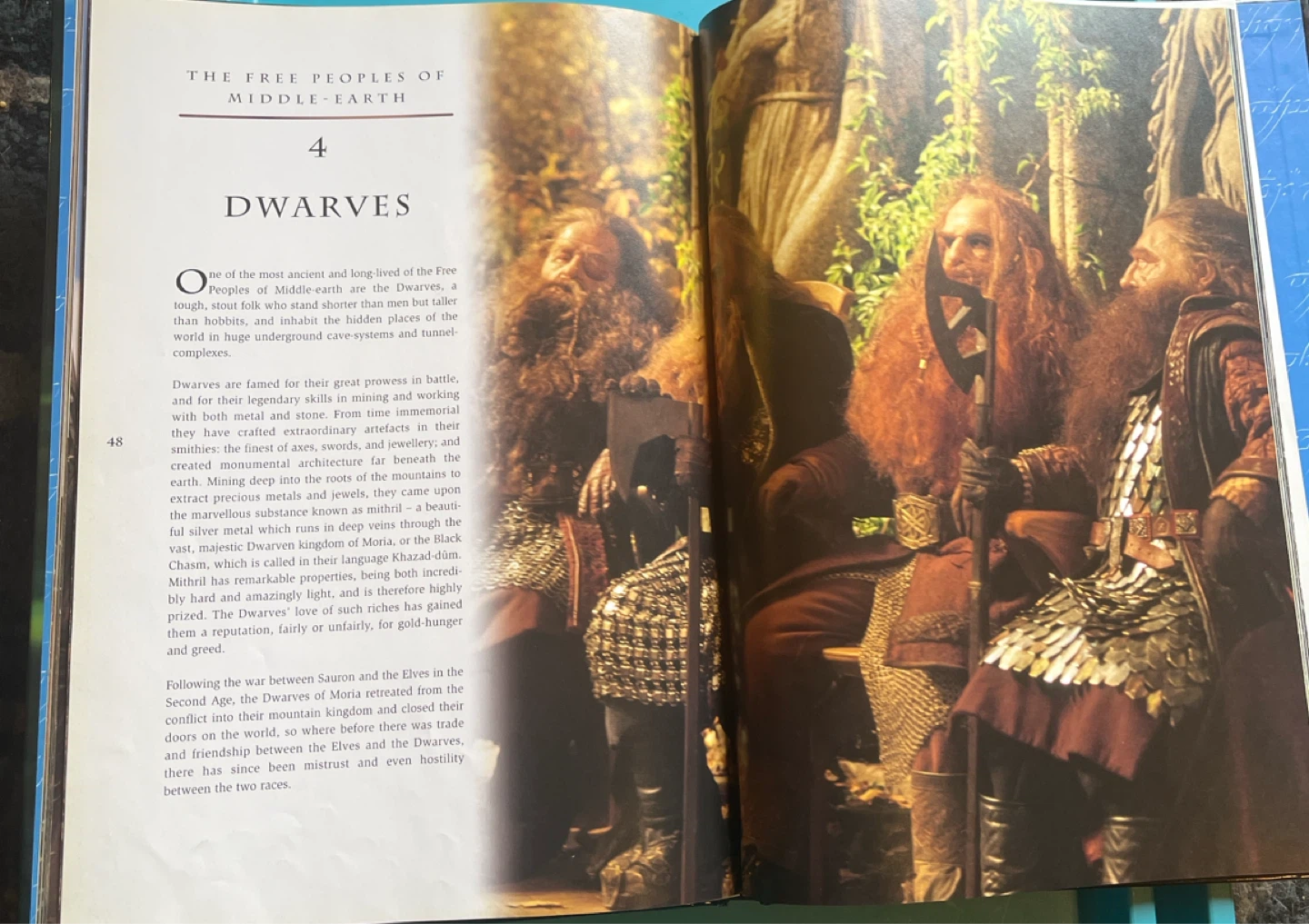 Lord of the Rings: The Fellowship of the Ring Companion - photo 5