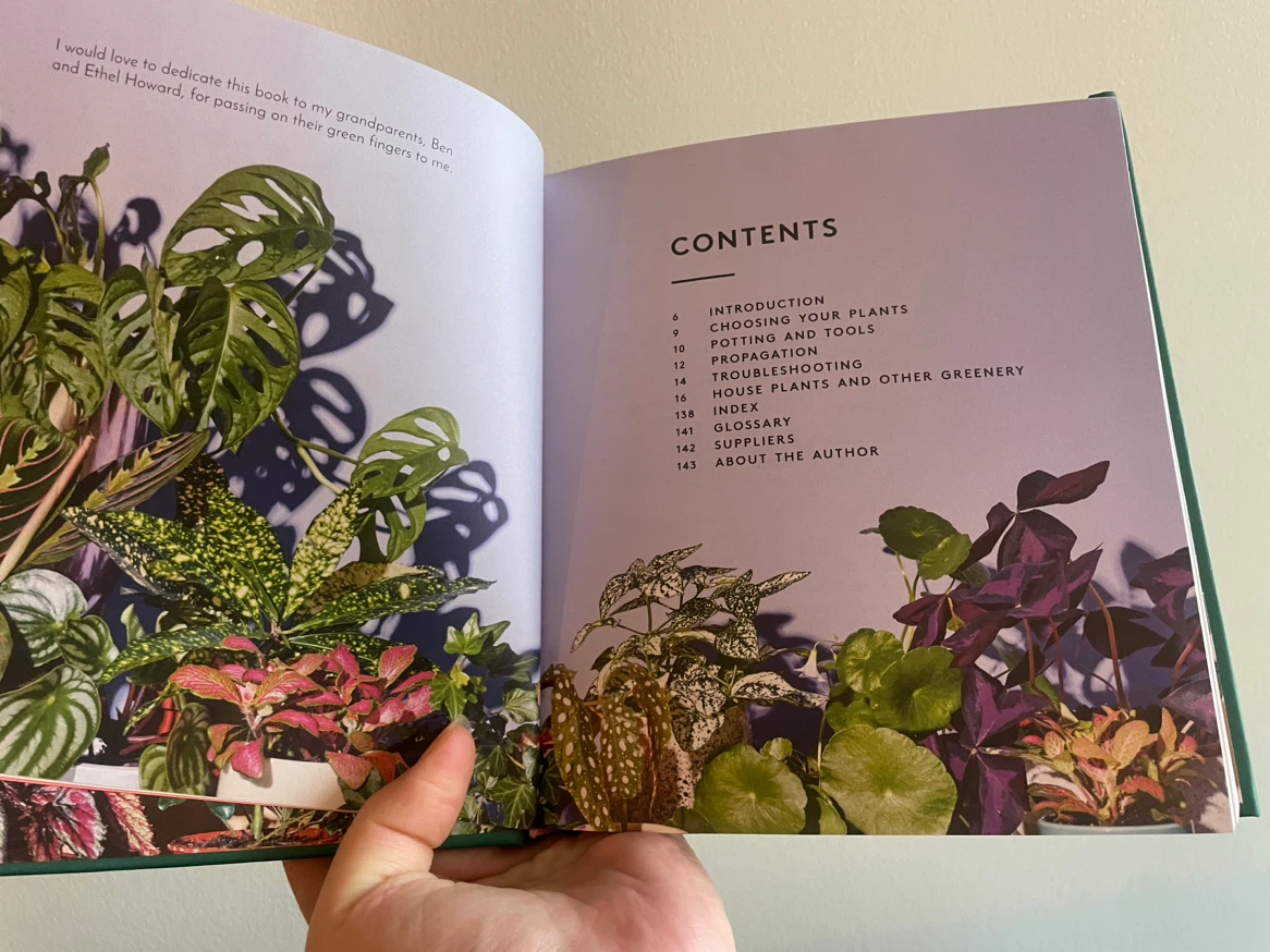 The Little Book of House Plants and Other Greenery - photo 2