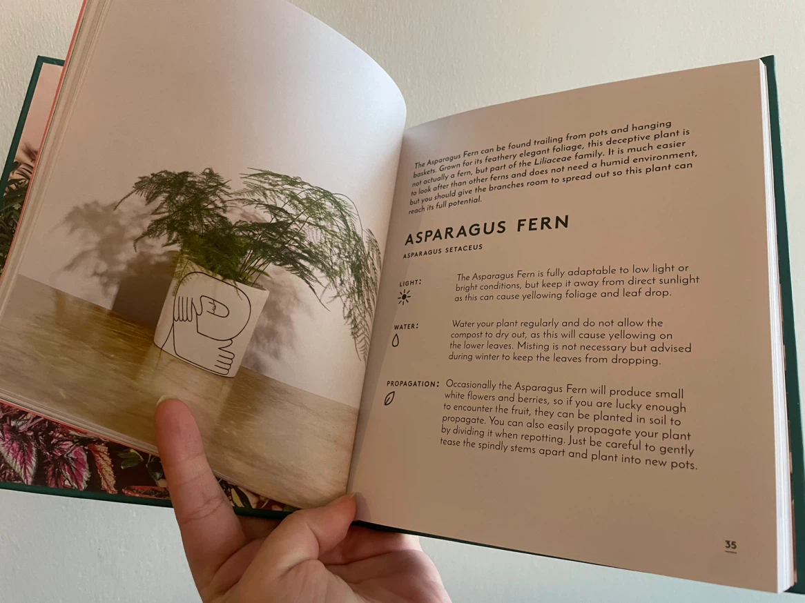 The Little Book of House Plants and Other Greenery - photo 3