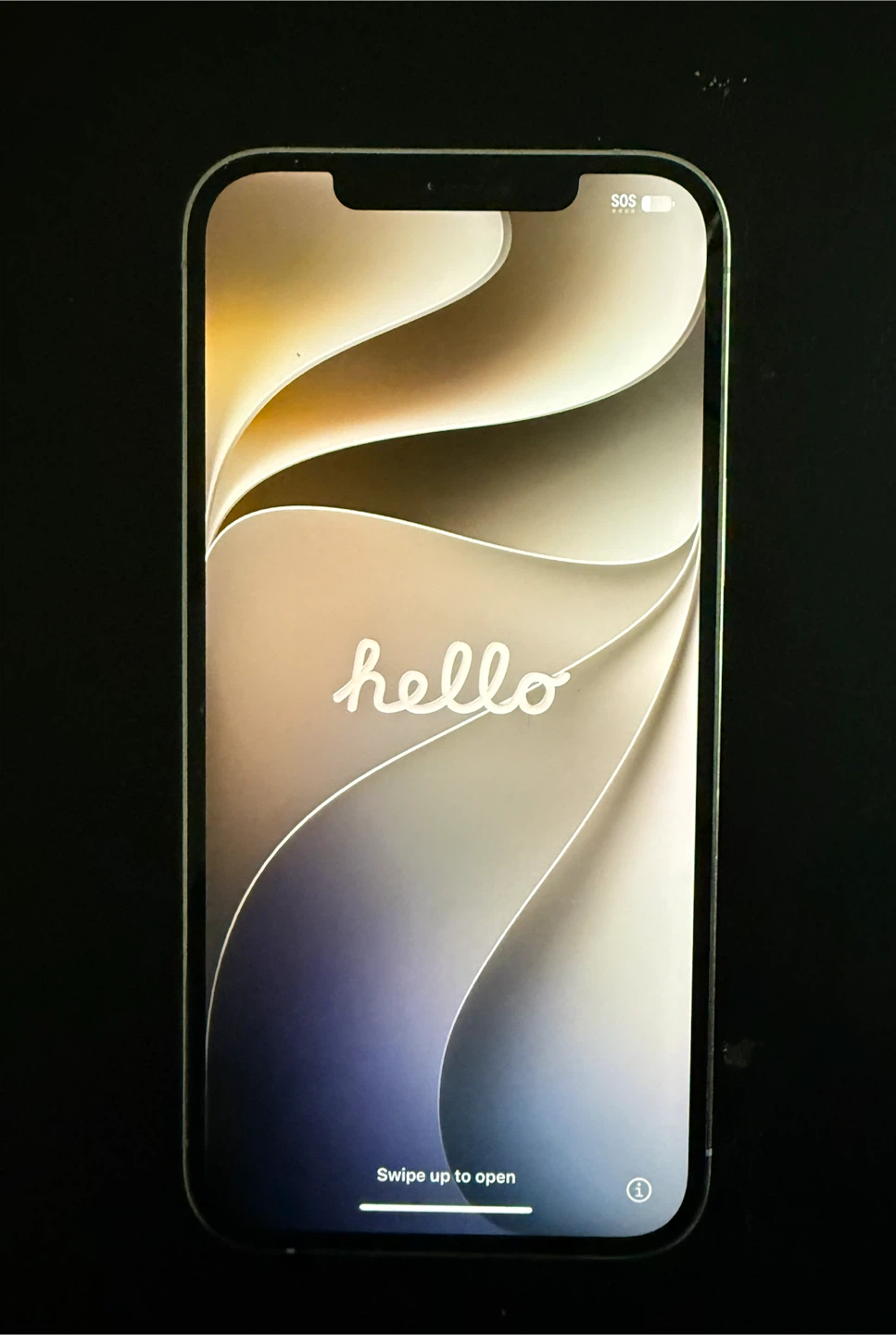 Apple iPhone 12 Pro Max 156 GB with new battery - photo 2