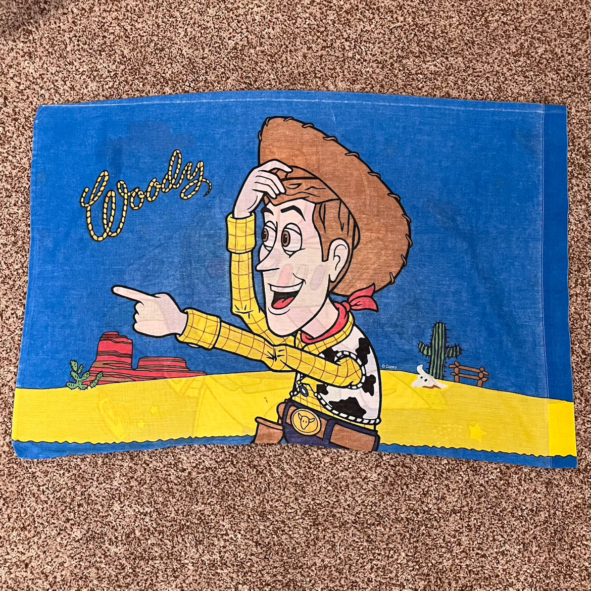Vintage Toy Story Buzz Lightyear and Woody Queen Size Pillowcase