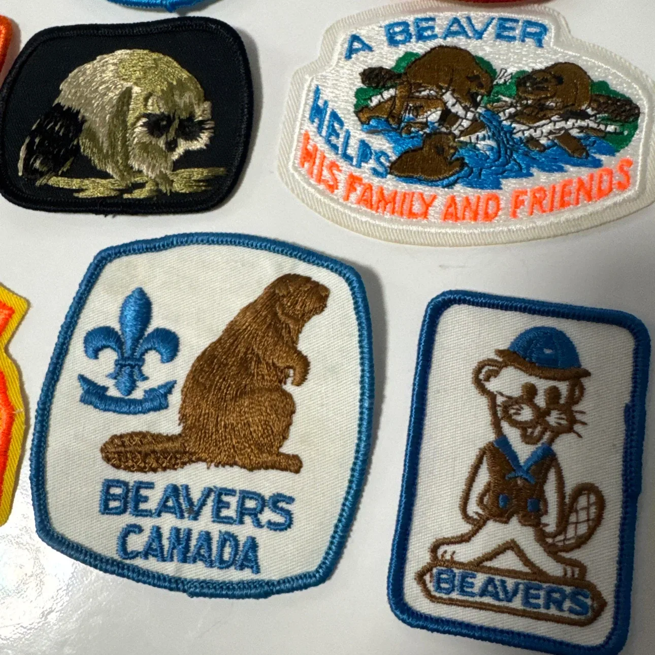 17 pcs Assorted Canadian Vintage Scouting and Nature Patches - photo 2