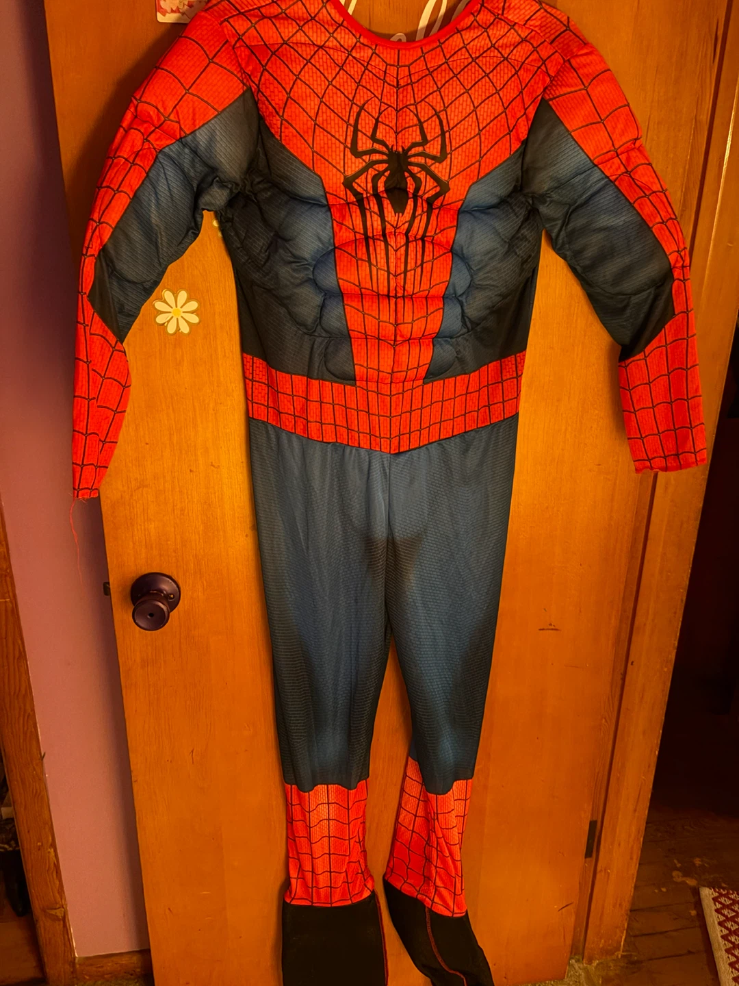 Spider-Man Muscle Costume (size large kids)