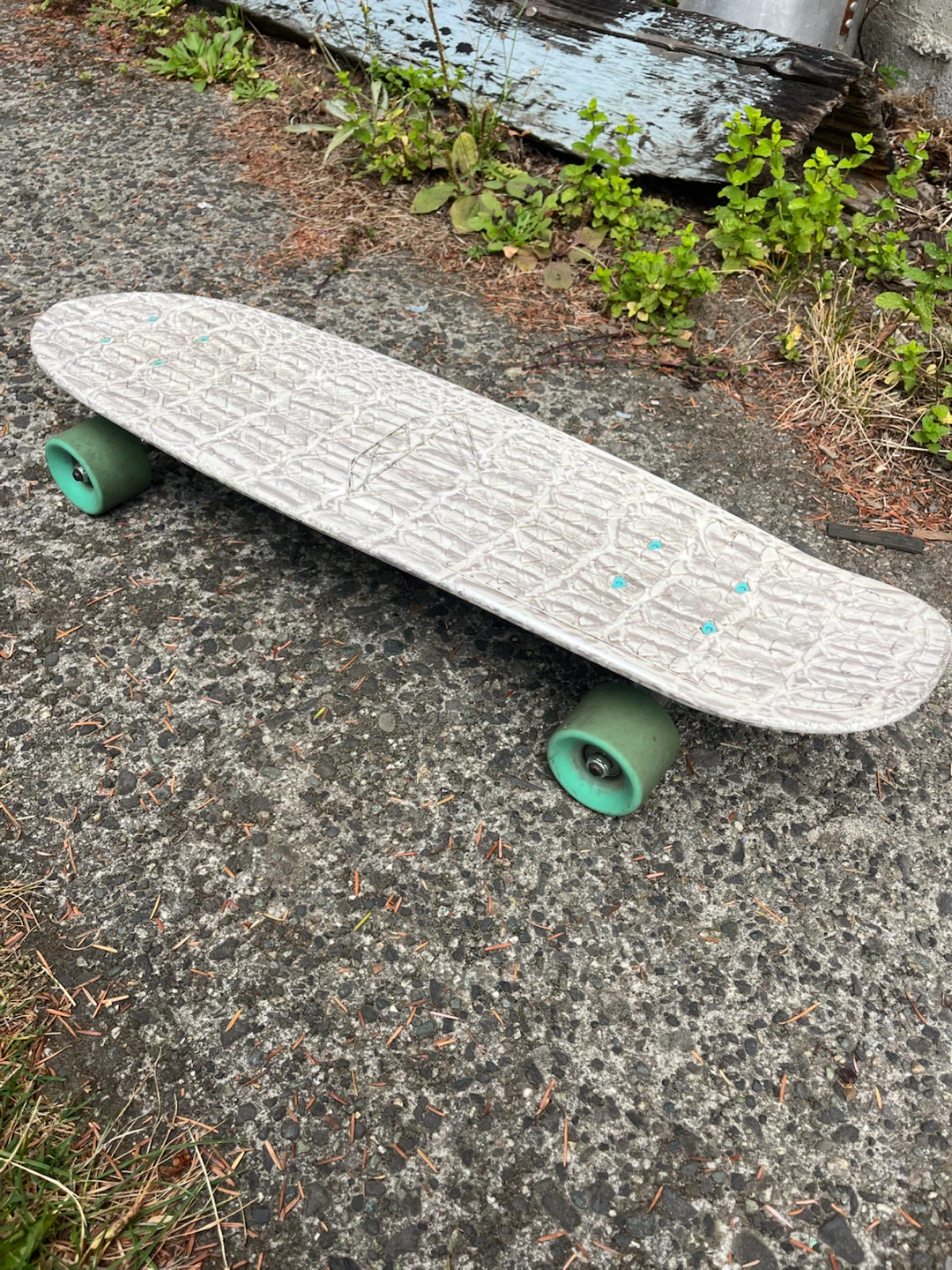 Skateboard penny board