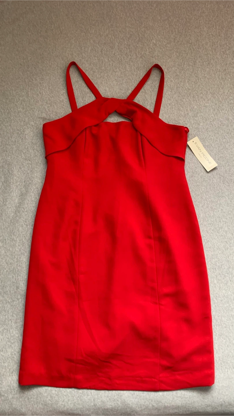 Evan-Picone ‘Candy Cane’ Red Dress - Size 14