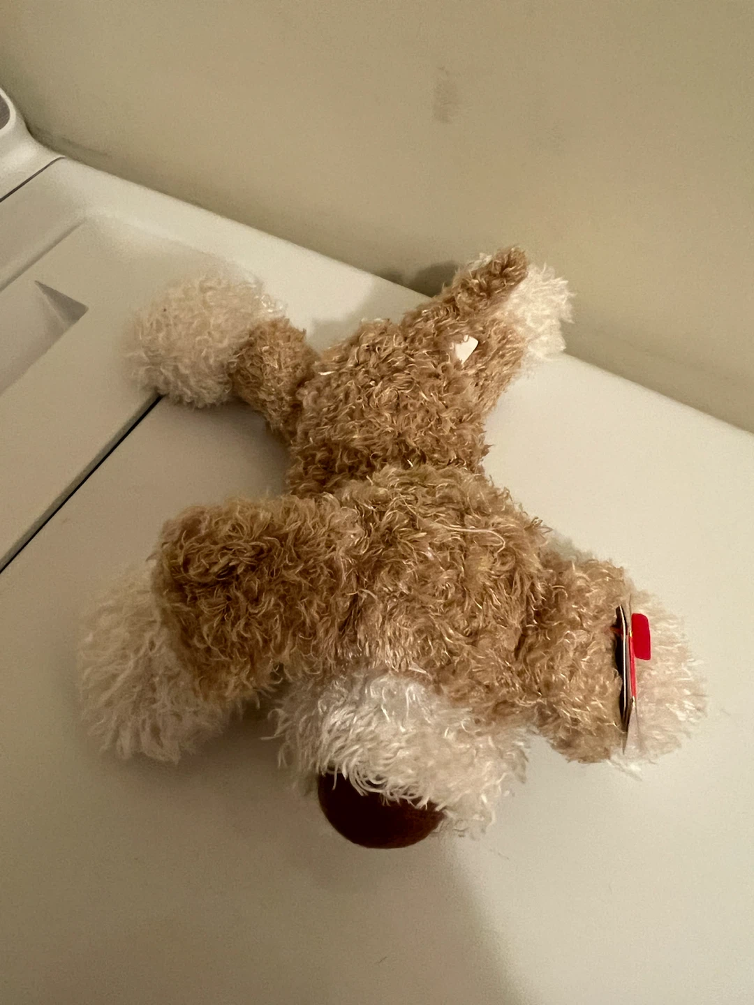 Ty Beanie Babies Doogie Plush Dog - photo 2