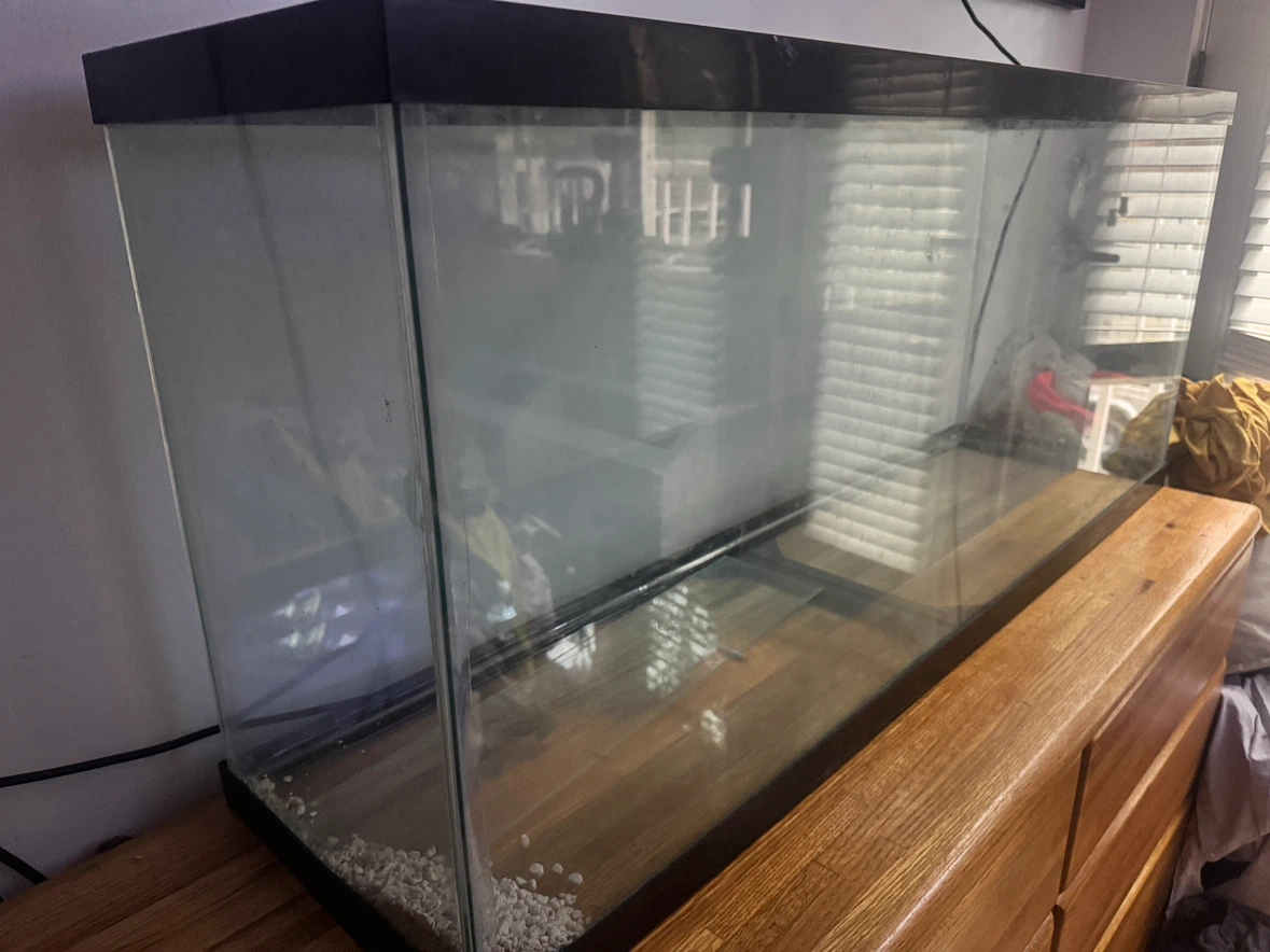 55 Gallon Large Glass Fish Aquarium Tank Like New