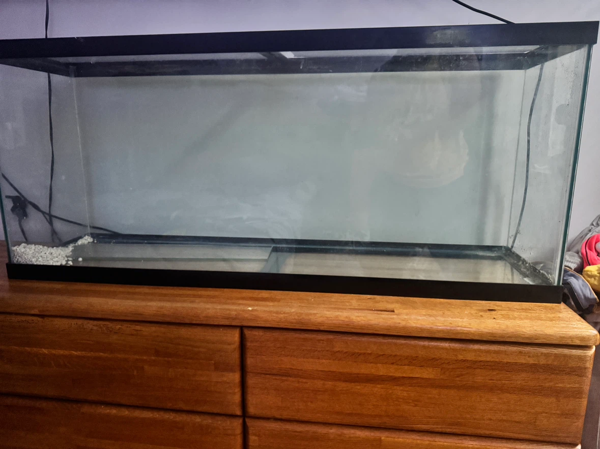 55 Gallon Large Glass Fish Aquarium Tank Like New - photo 2