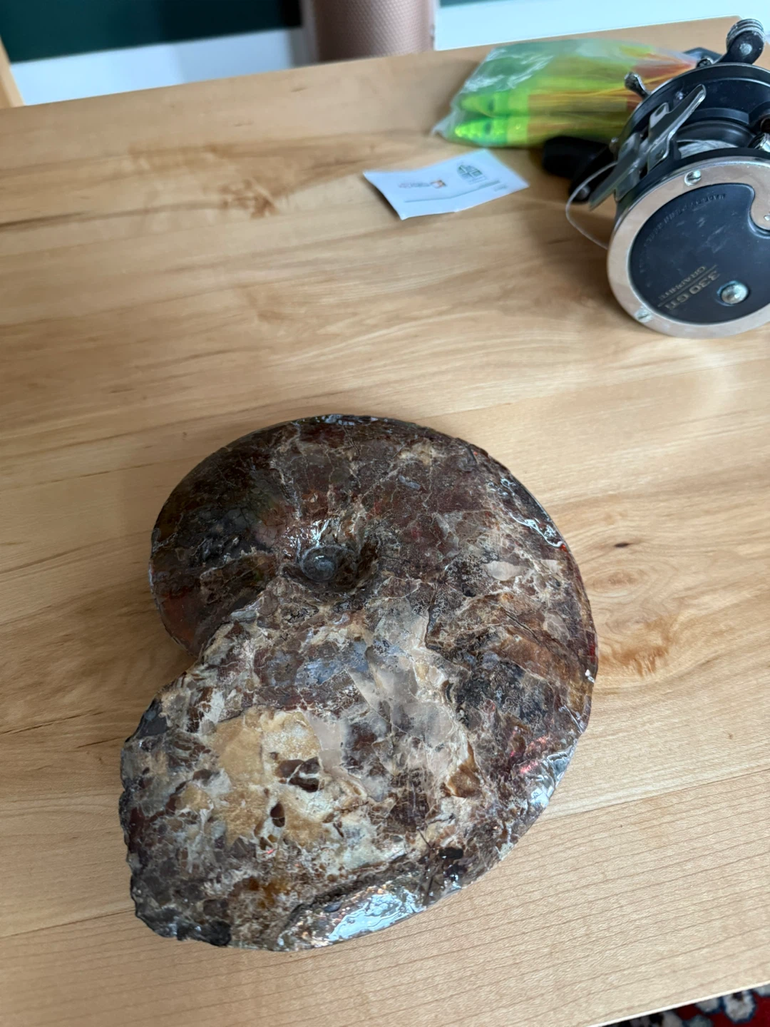 Natural Ammonite Fossil Specimen - photo 2