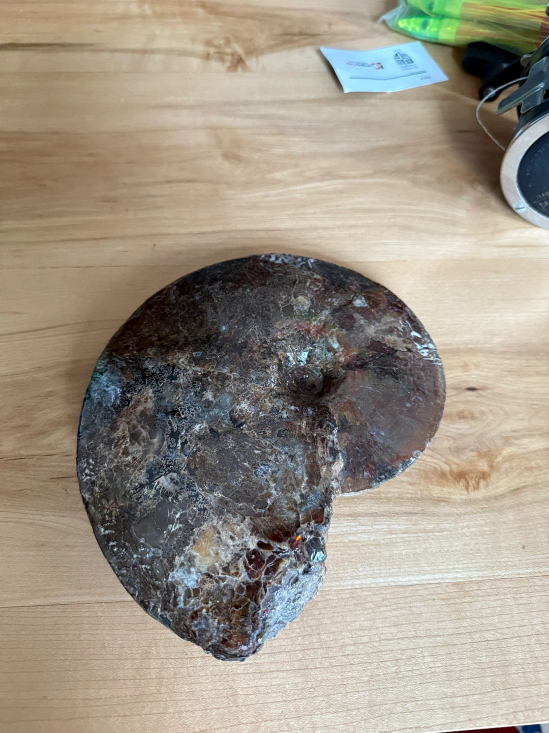 Natural Ammonite Fossil Specimen - photo 3