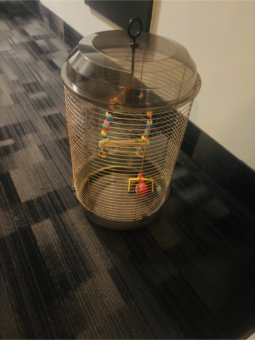 Round Bird Cage with Accessories