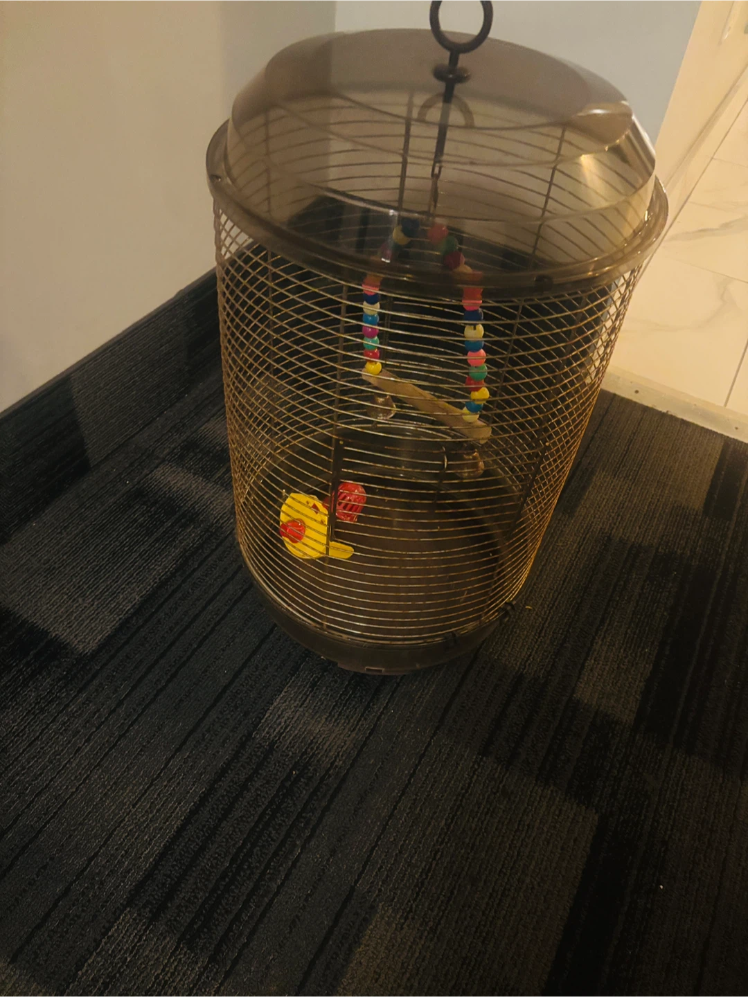 Round Bird Cage with Accessories - photo 2
