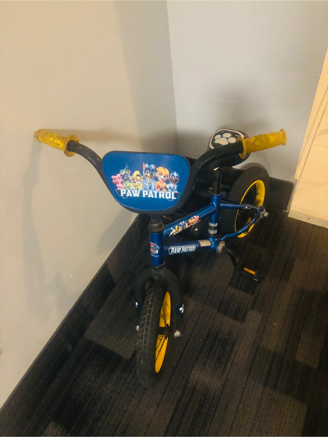 Paw Patrol Kids Bicycle