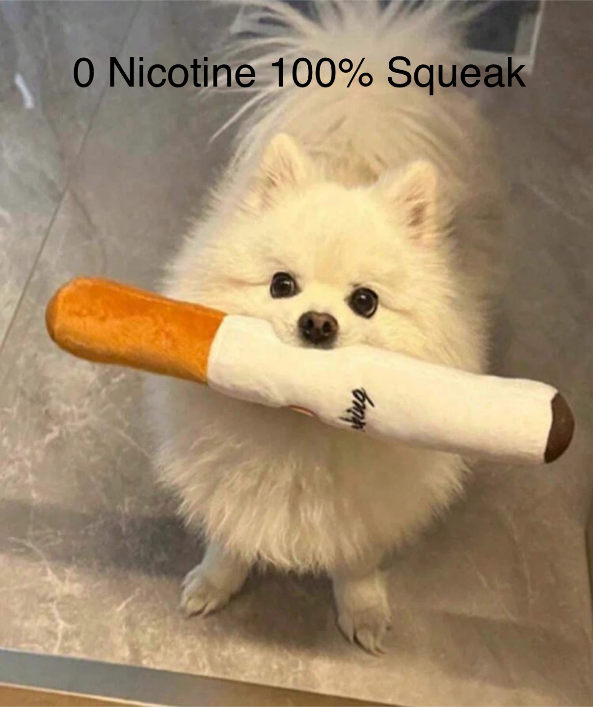 Cigarette Plush Dog Toy