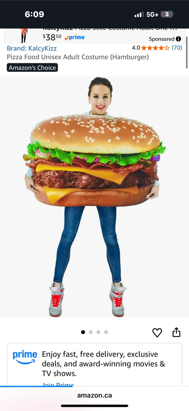 Halloween Hamburger Adult Costume