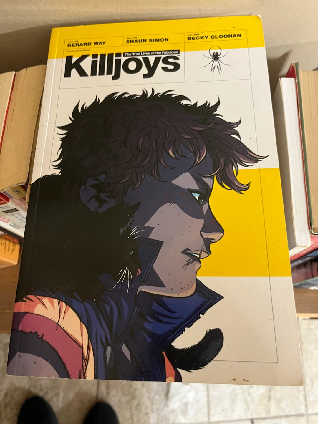 The True Lives of the Fabulous Killjoys Graphic Novel