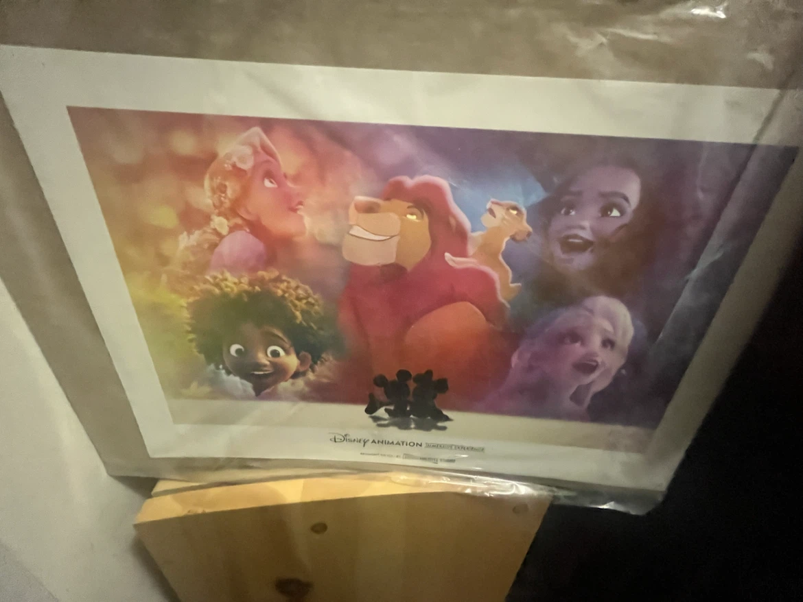 Disney Animation Immersive Experience Print