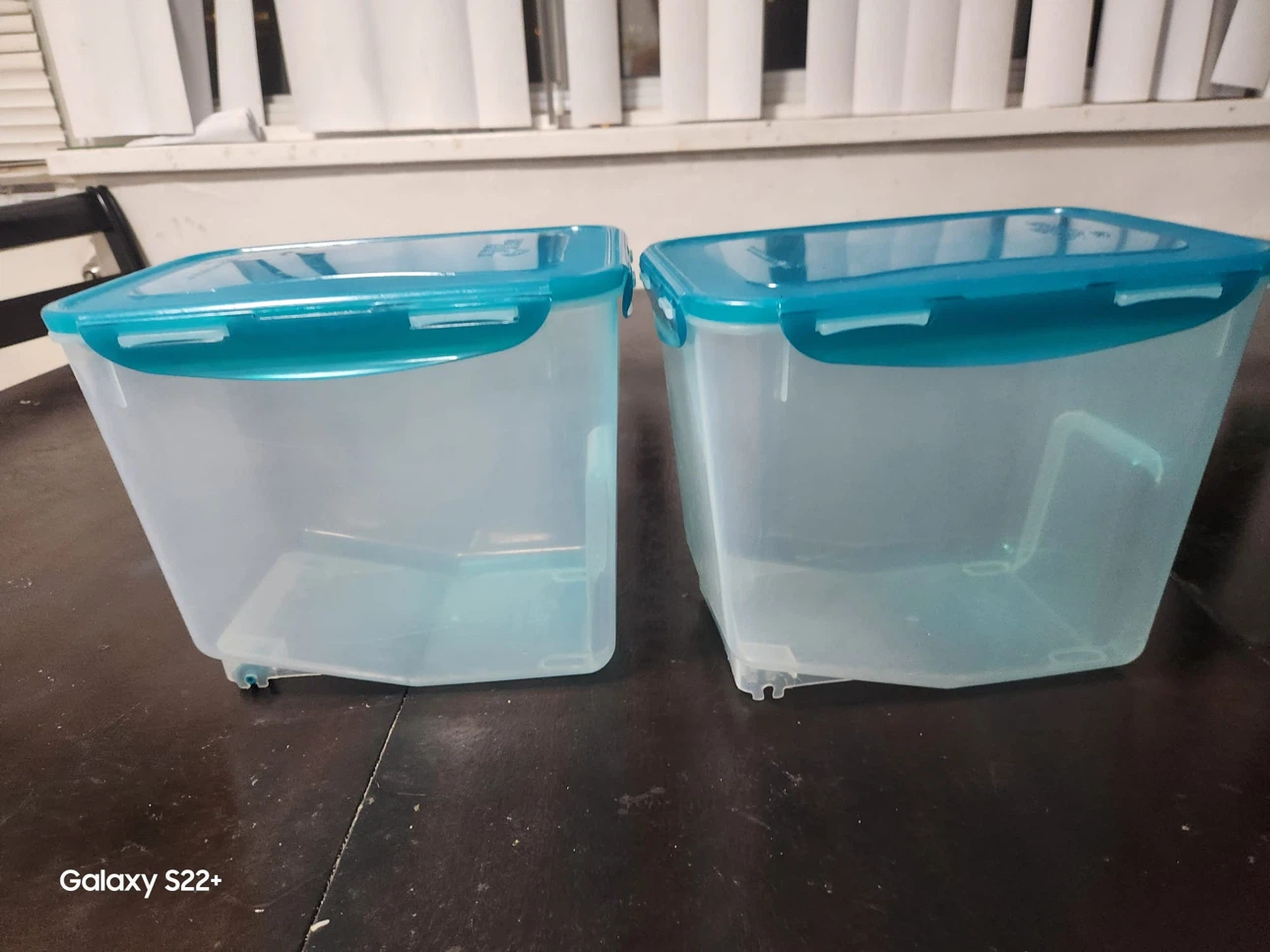 Lock & Lock Storage Containers (Set of 2)
