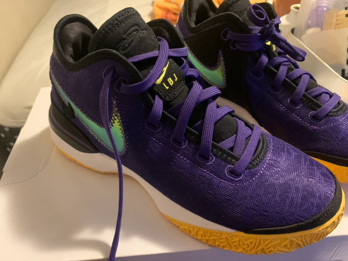Nike Zoom LeBron NXXT Gen Court Purple