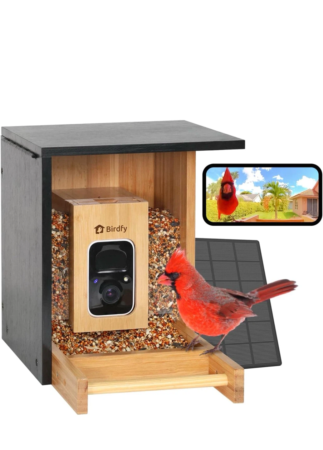 Birdfy Smart Bird Feeder with Camera