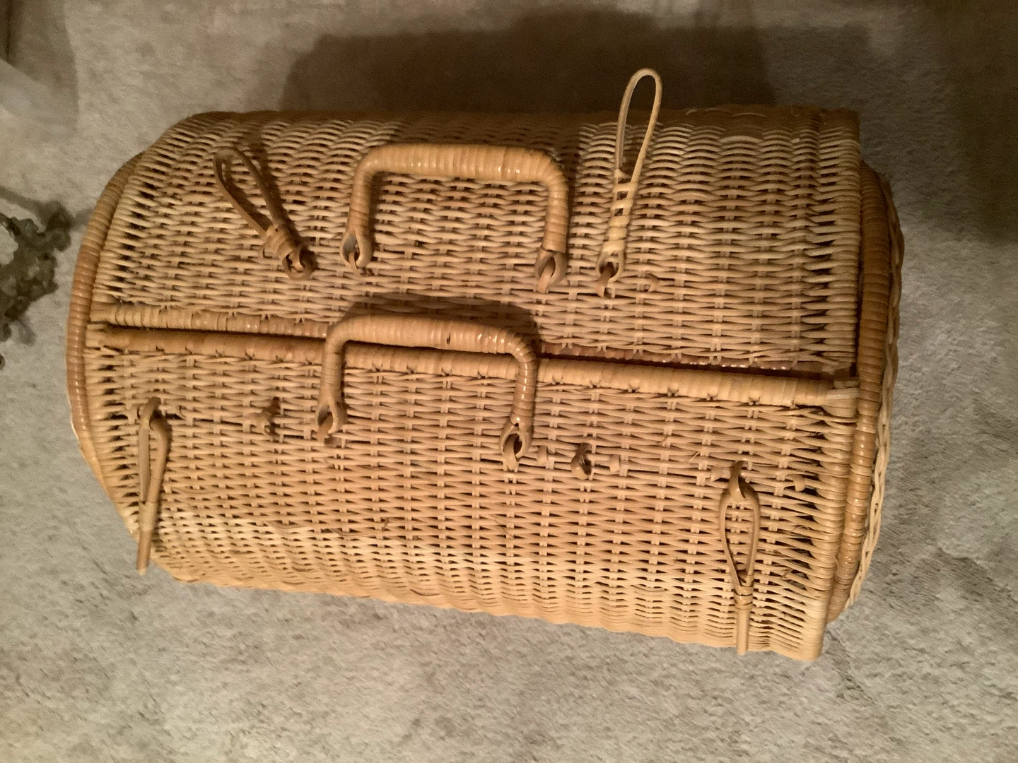 Vt Rattan & Wicker Versatile Storage Box/Travel Accessory 🐞 - photo 3