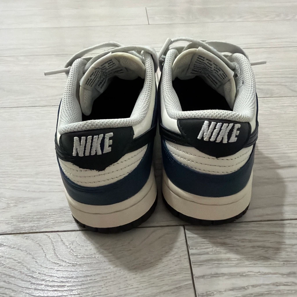 Nike Dunk Low Sneakers