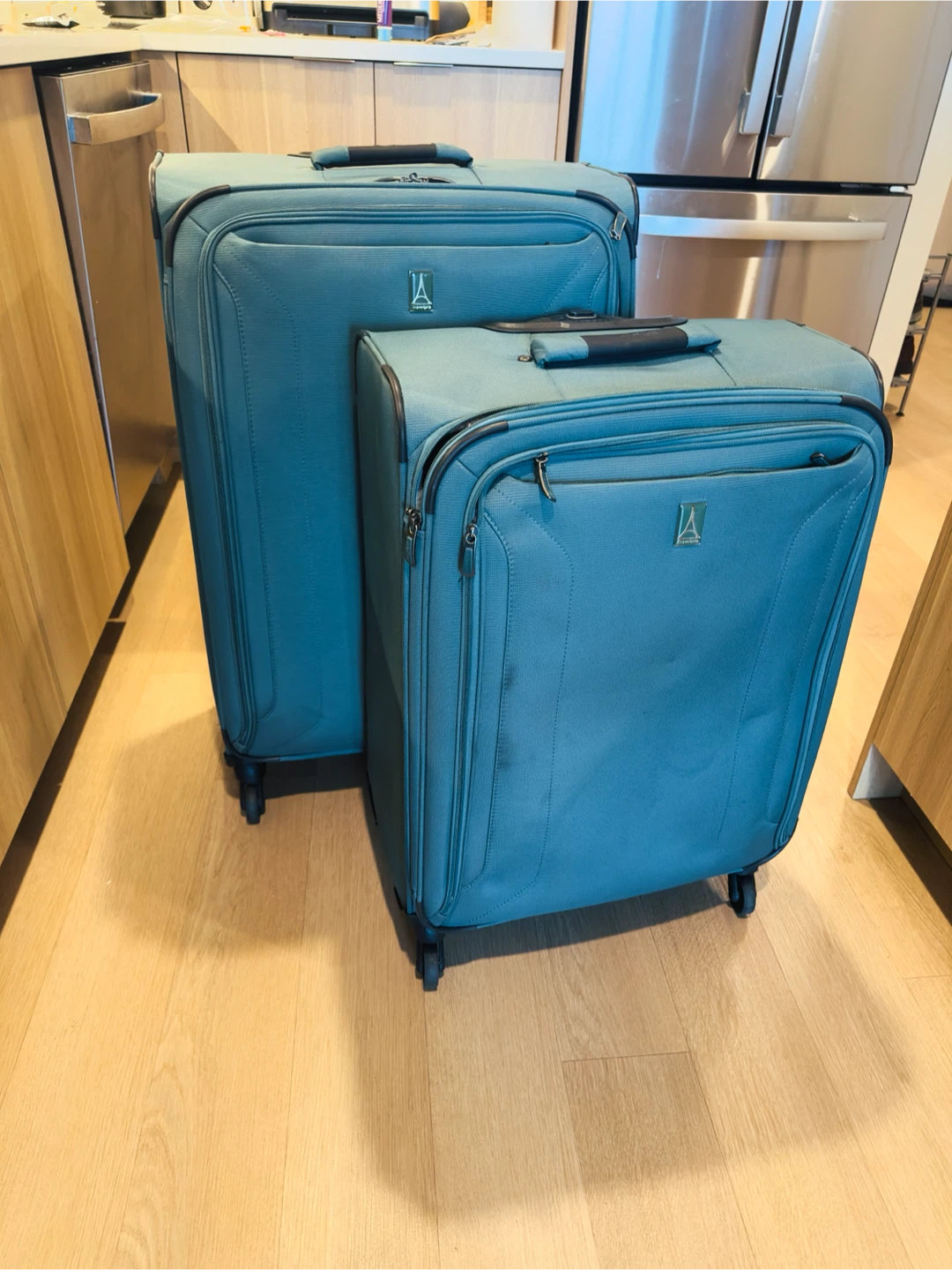 Medium and large luggage
