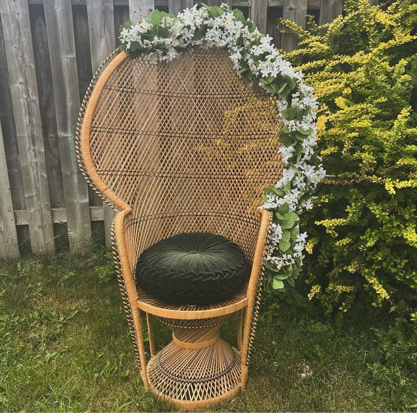 Wicker Peacock Chair