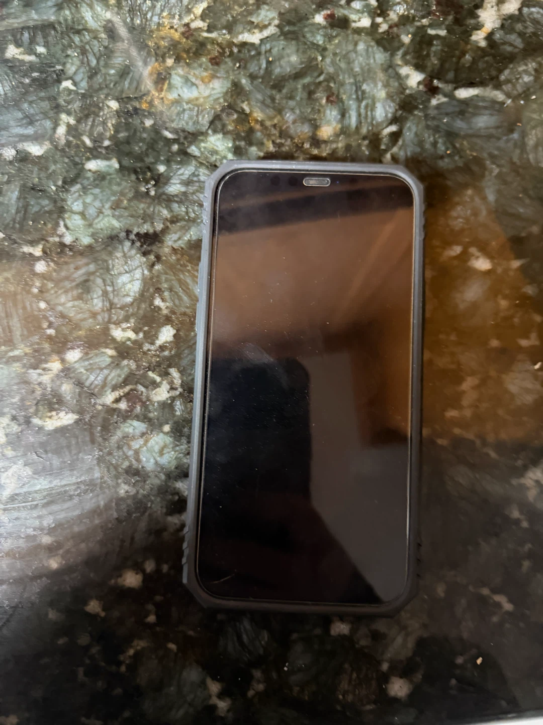 Apple iPhone 12 Pro Graphite - photo 5