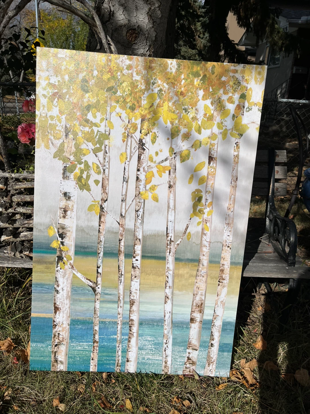 Art- Wall Art- Birch Tree Print on Canvas