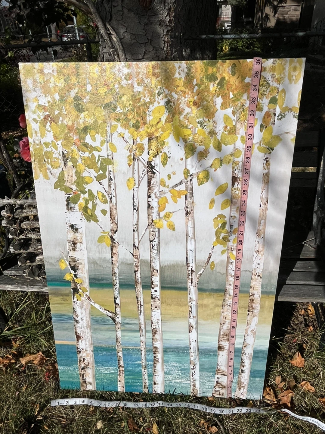 Art- Wall Art- Birch Tree Print on Canvas - photo 3