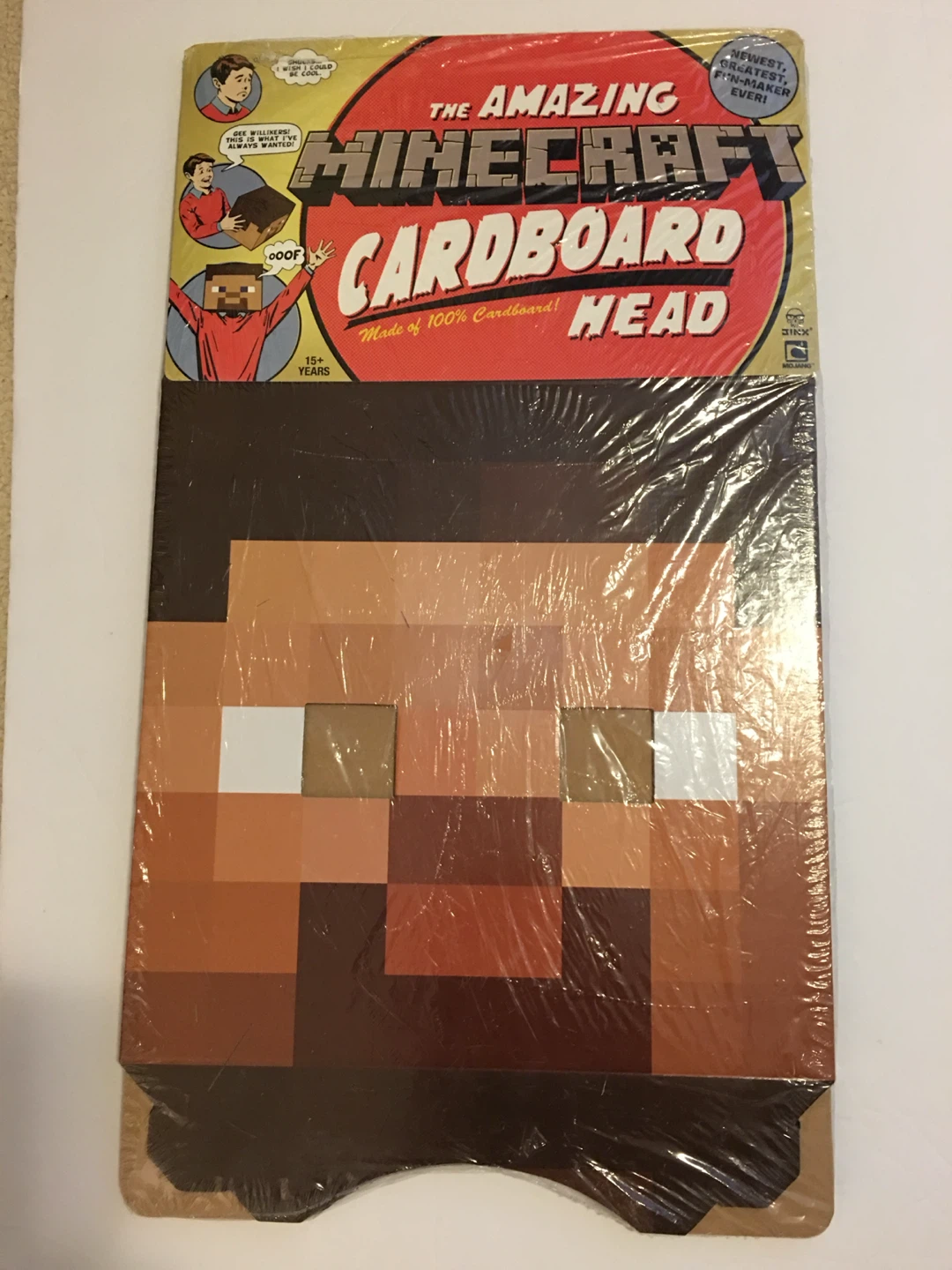 Minecraft Cardboard Steve Head
