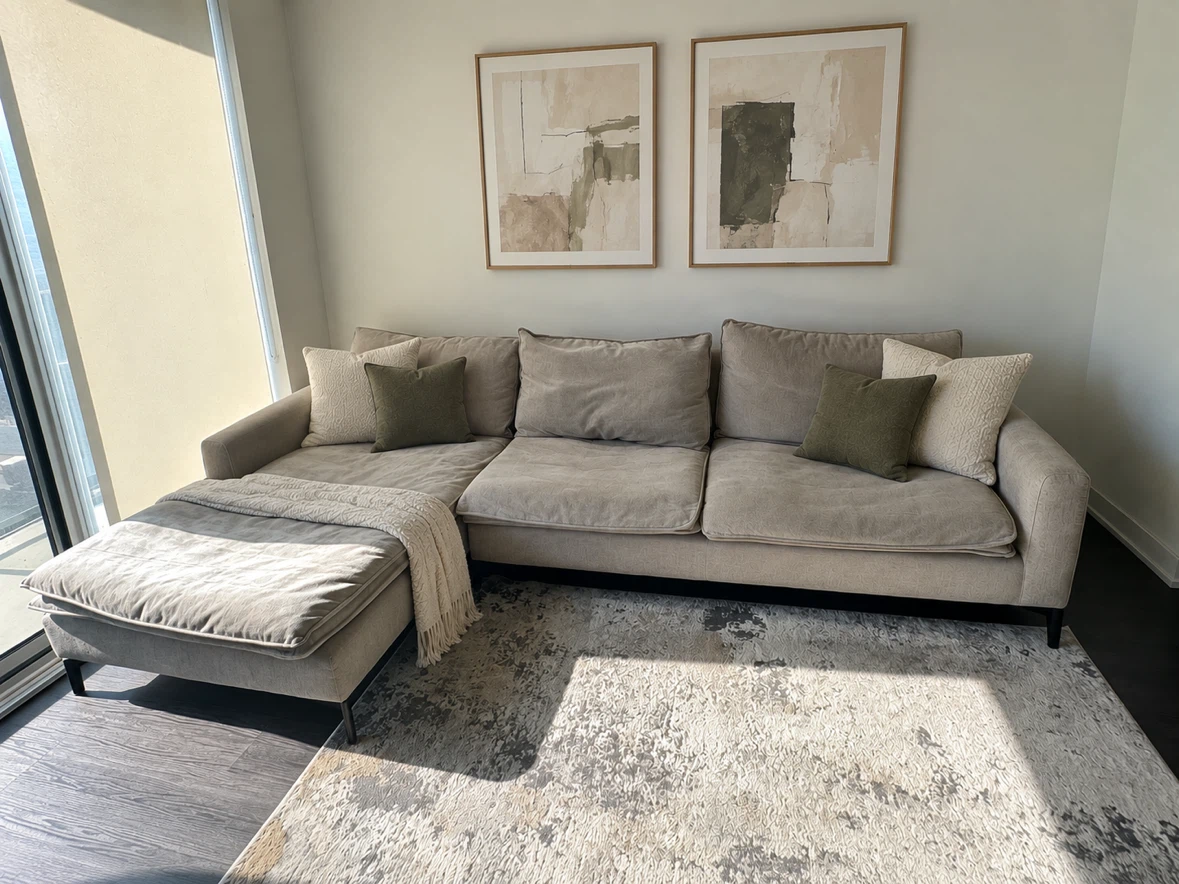 Living Room Bundle:   Sectional + 65” Sony TV + Rug