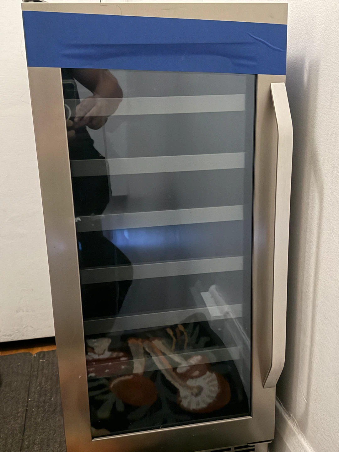 Stainless Steel Wine Fridge