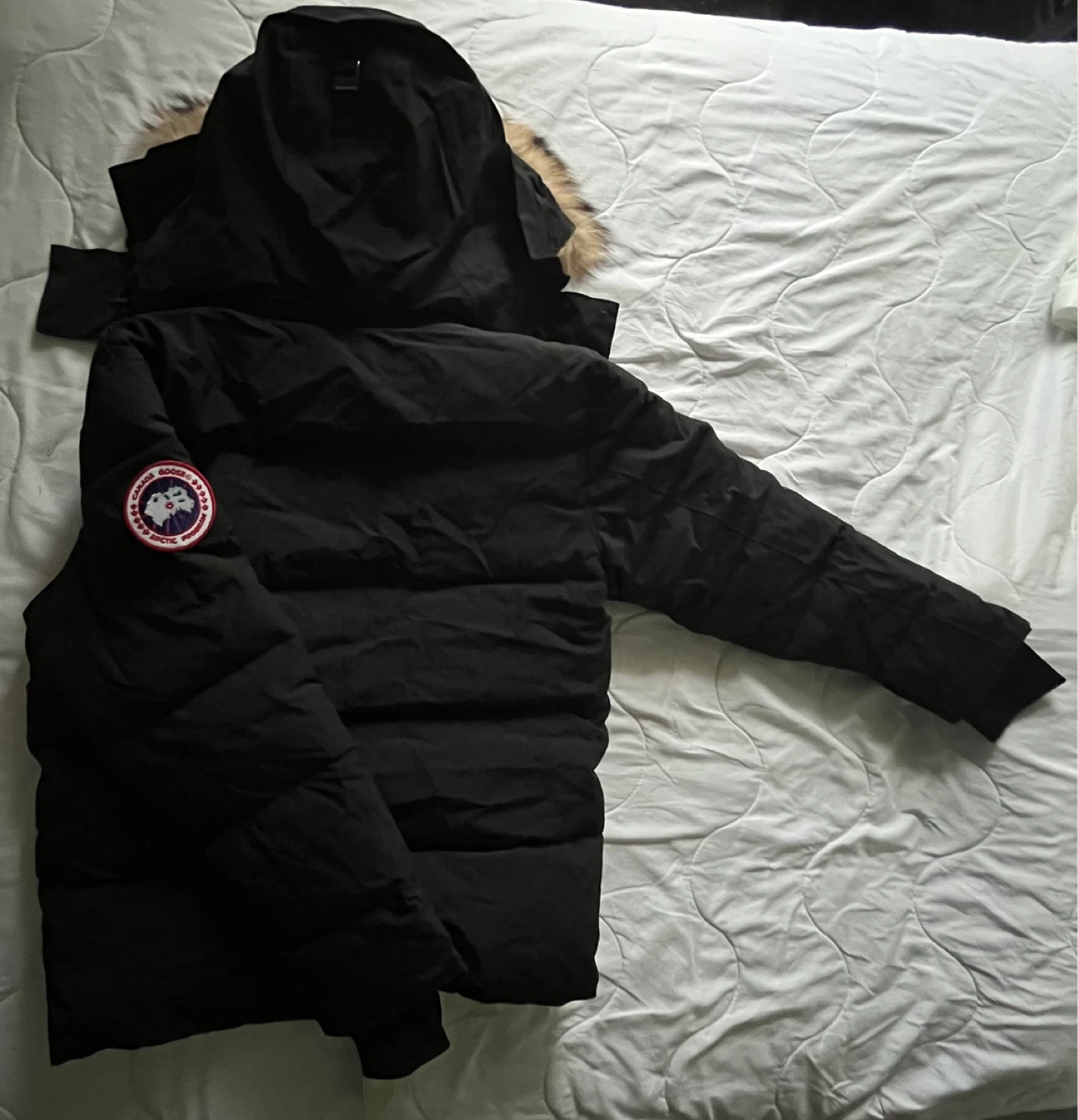 Brand New Canada Goose Jacket
